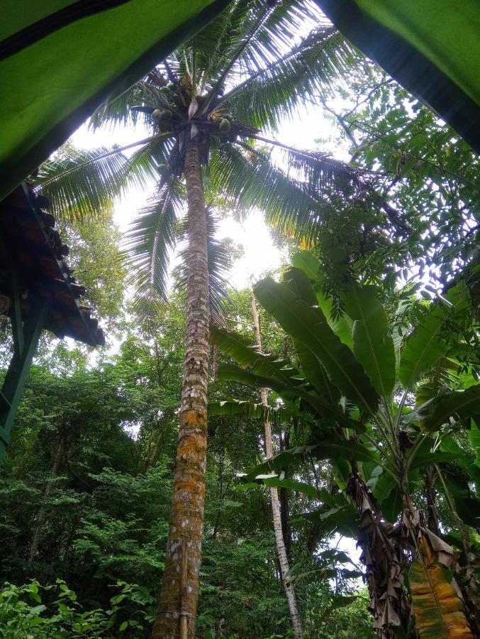 Camping Tropico De Capricornio - Ilhabela Eksteriør billede