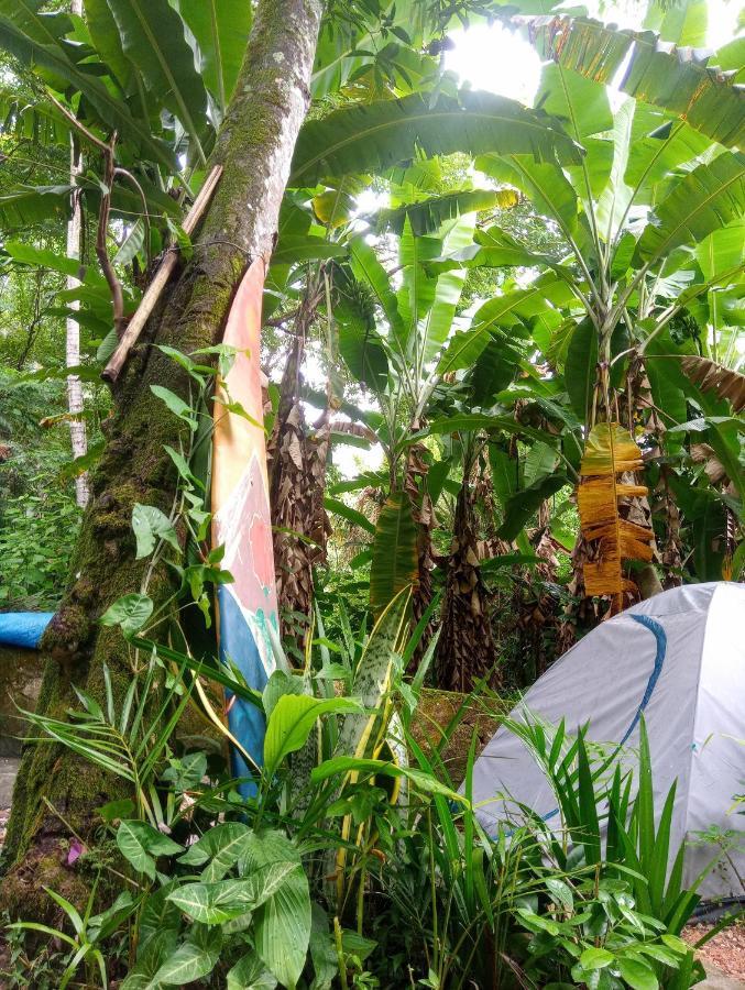 Camping Tropico De Capricornio - Ilhabela Eksteriør billede