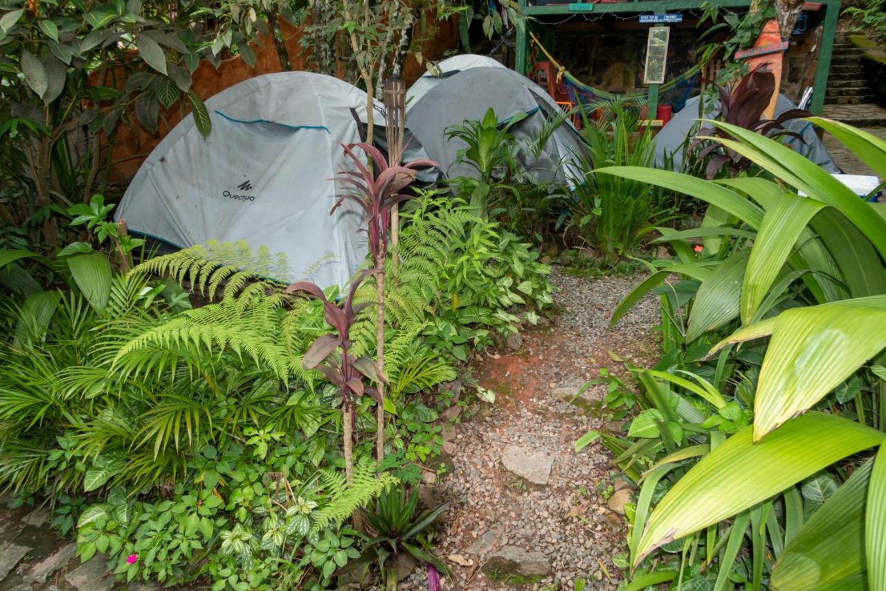 Camping Tropico De Capricornio - Ilhabela Eksteriør billede