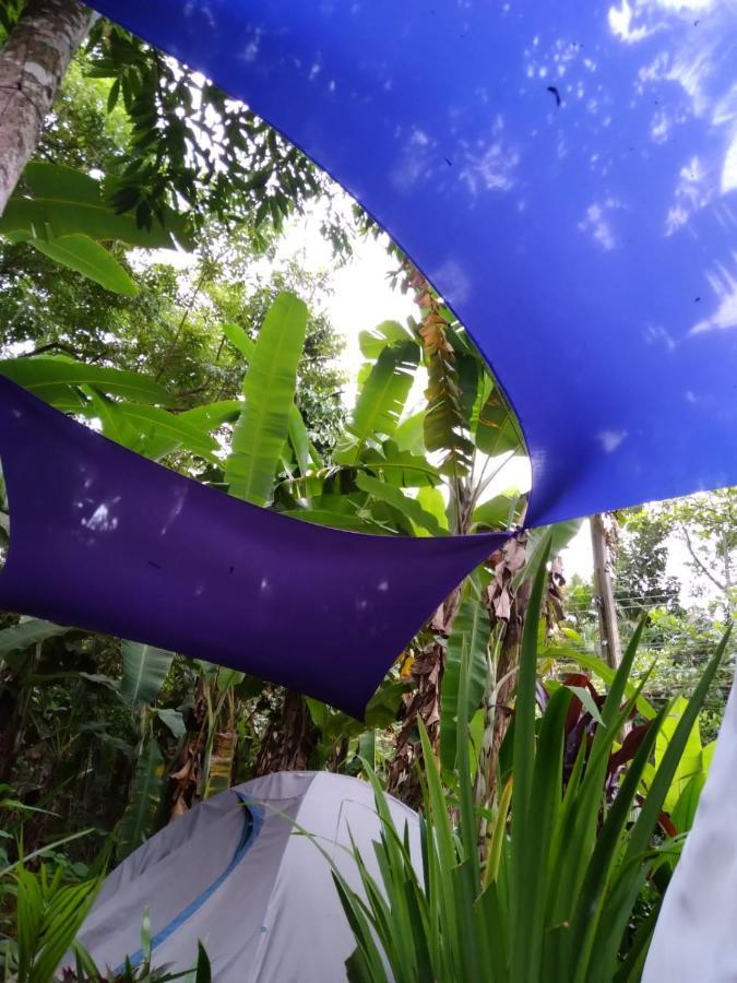 Camping Tropico De Capricornio - Ilhabela Eksteriør billede