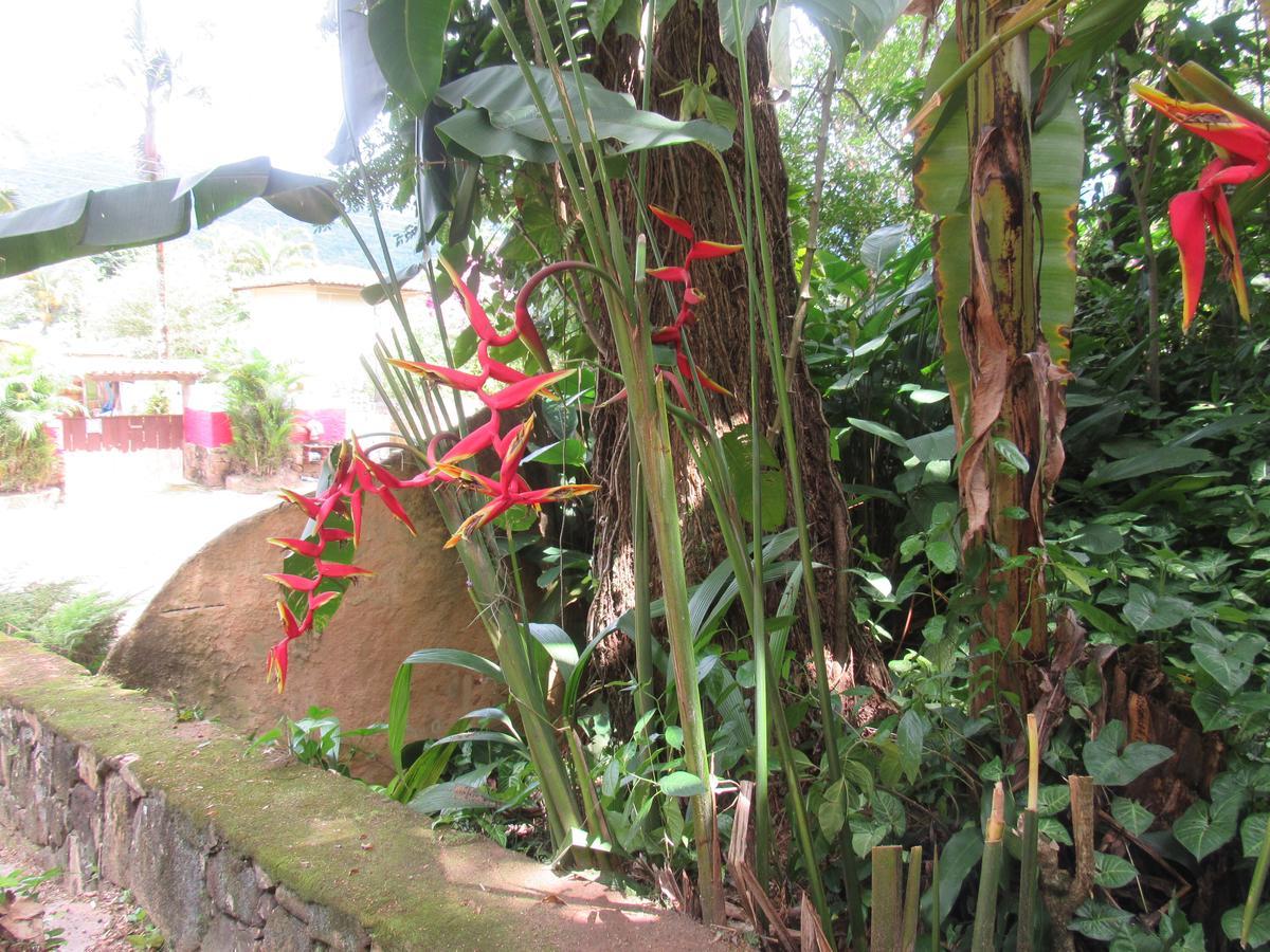 Camping Tropico De Capricornio - Ilhabela Eksteriør billede